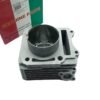 Shark Performance Belang150 (FU150) Racing Ceramic Cylinder Block Kit
