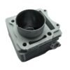 Shark Performance Belang150 (FU150) Racing Ceramic Cylinder Block Kit